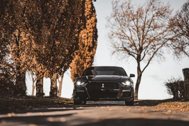 에프비이티 카지노 안드로이드/iOS 앱